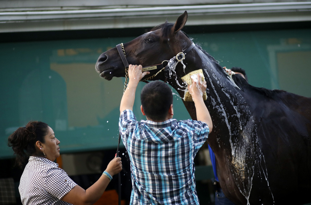 Kentucky Derby winner Always Dreaming is washed after a workout at Pimlico Race Course in Baltimore on Wednesday. The Preakness Stakes is Saturday.