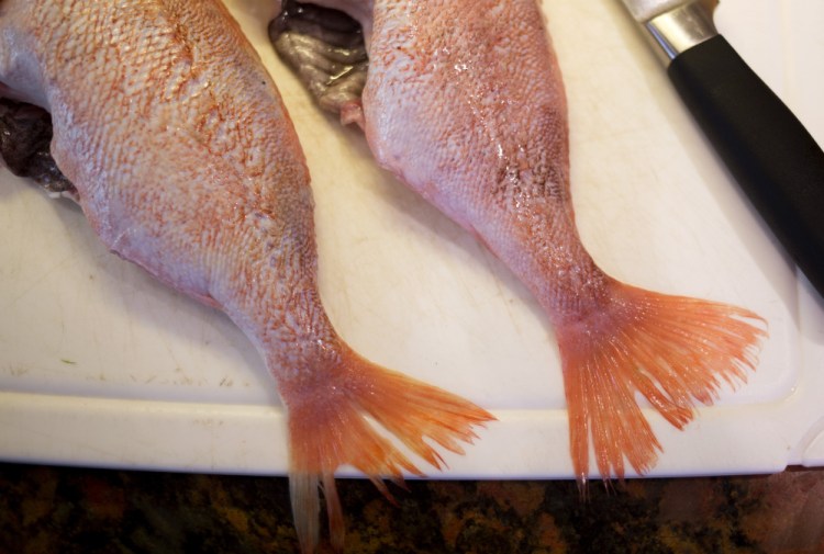 Redfish on the cutting board before being filleted for stew.