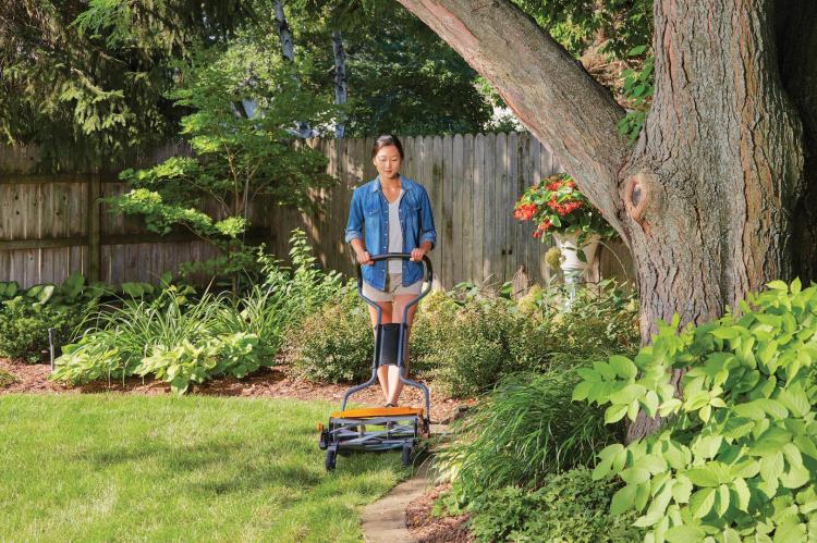 Using a reel mower allows you to adjust the cut height for the season.
