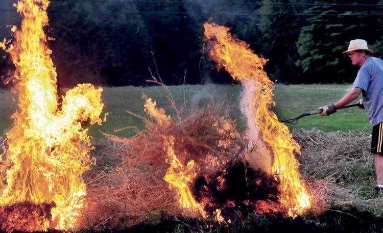 Peter Clifford throws a pitchfork full of burning brush to ignite another pile while burning a field in Benton in 2014. Free online burn permit websites give municipal fire departments complete control over who gets permits and when they get them.