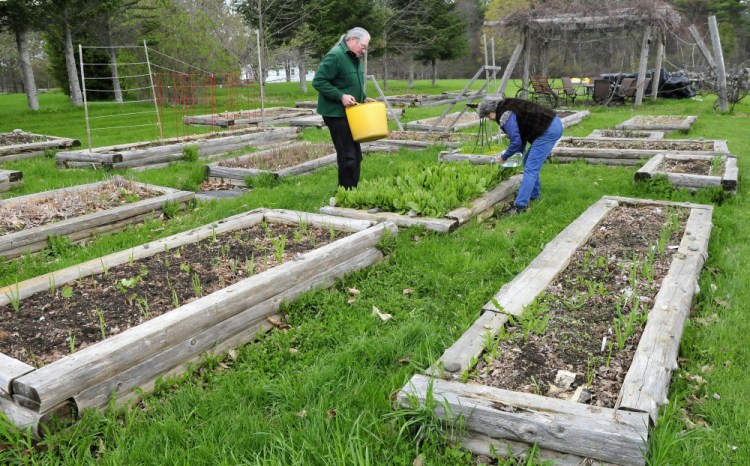 Phil Frizzell and his wife, Connie Bellett, water vegetables in the Community Garden they started May 10 in Palermo. The couple hauled the water from the Windsor Town Office, eight miles away. The Malcolm Glidden American Legion Post 163 has refused to connect a water supply to the rental space.