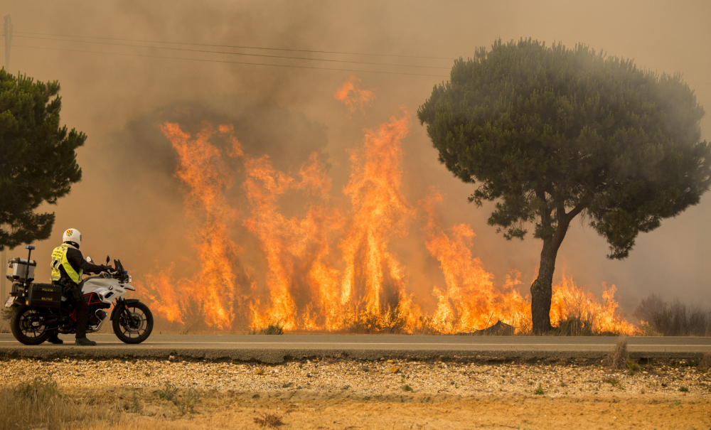 A military police officer watches a forest fire near Mazagon in southern Spain on Sunday. The fire started Saturday night and advanced to one of the nation's key wildlife sanctuaries.