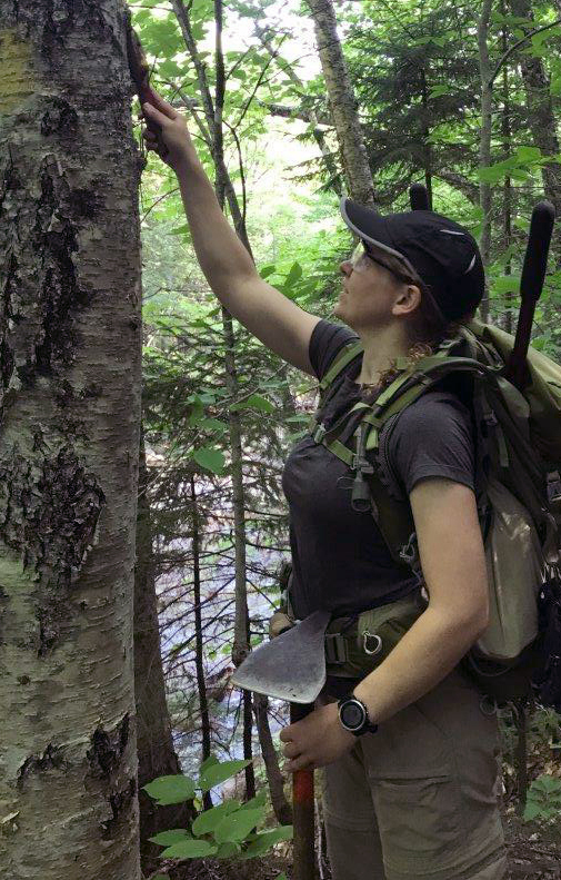 Sally Gorrill, a captain in the U.S. Army, removes unauthorized markings from a tree June 15 along a trail in the White Mountain National Forest in New Hampshire.