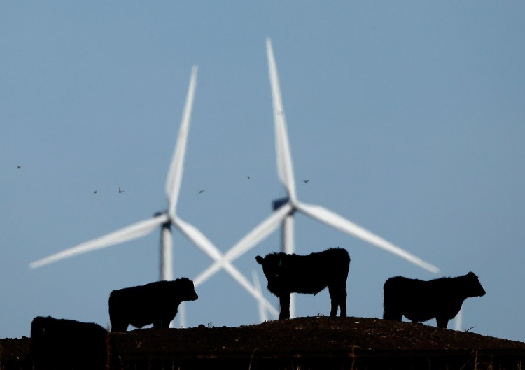 Cattle graze in a pasture against a backdrop of wind turbines which are part of the 155 turbine Smoky Hill Wind Farm near Vesper, Kansas. Even if President Donald Trump withdraws U.S. support for the Paris climate change accord, domestic efforts to battle global warming in dozens of states will continue. 

