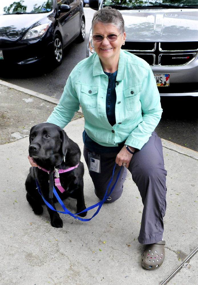 Trainer Rita Pirrotta, of Love on a Leash, works with therapy dog Abby on May 31 on Main Street in Waterville.