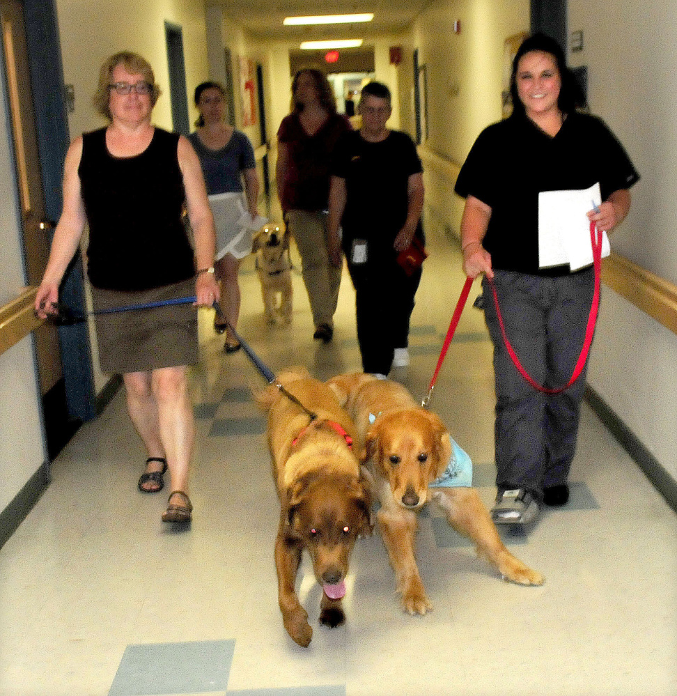 Kathy Peterson, left, and Daisi Poole, handlers with Love on a Leash, lead Charlie and Bentley into Mount St. Joseph Residence and Rehabilitation in Waterville on June 13. The dogs and handlers visited and interacted with residents.