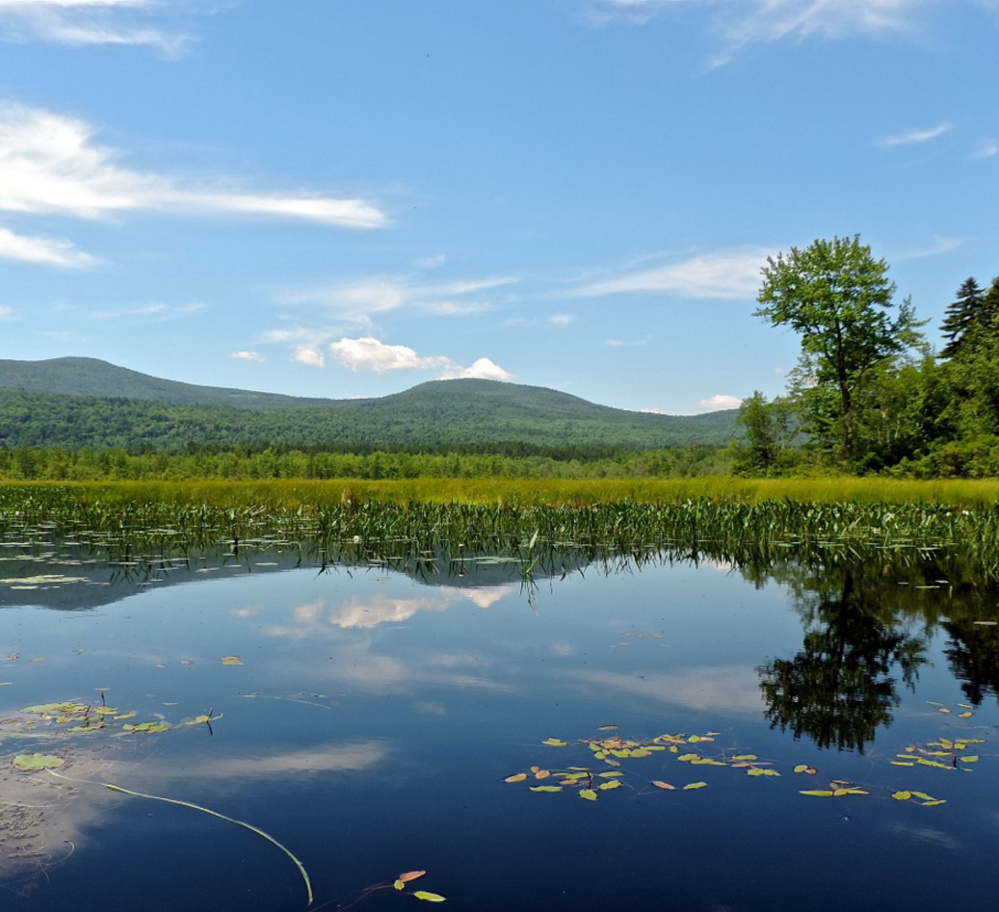 OK, so it's not officially in Maine, but of course we still like New Hampshire a lot, especially features like the glorious views of the mountains to the west from Upper Kimball Pond, just a half-mile from the New Hampshire border.