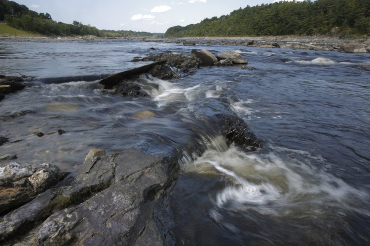 The Penobscot River flows free in 2015 where the Veazie Dam once stood. Authorities say that as river herring runs in Maine grow dramatically, with the Penobscot alone potentially supporting 10 million fish annually, the ecological effects could be profound as the fish is an excellent source of food for cod, eagles and other predators.