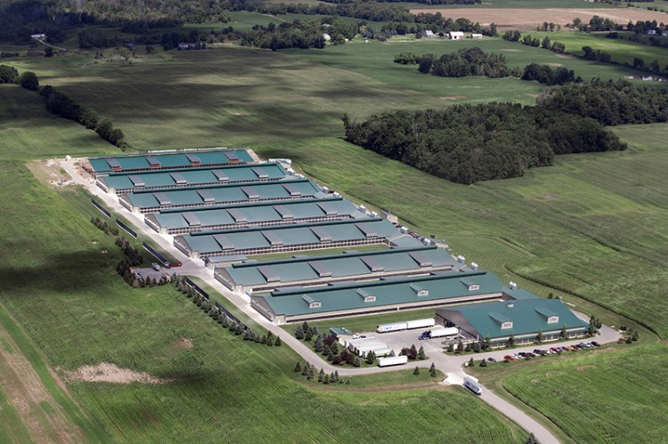 Herbruck's Poultry Ranch in Saranac, Michigan in 2014. Since this photo was taken by two barns have been added.