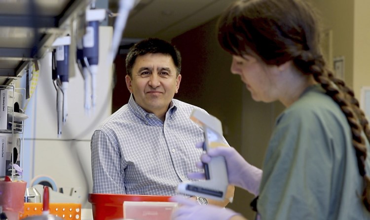 Shoukhrat Mitalipov, who led the team that edited genes to repair a disease-causing mutation in human embryos, confers with research assistant Hayley Darby at Oregon Health & Science University last month. The laboratory experiments might one day help prevent inherited diseases from being passed to future generations.