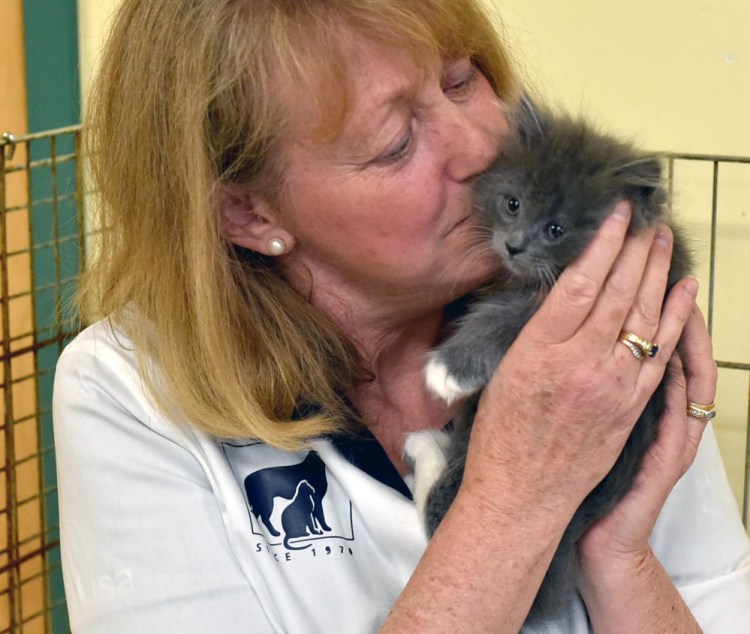 Lisa Smith is director of the Humane Society Waterville Area, which is participating in the Clear the Shelters event for the first time this weekend.