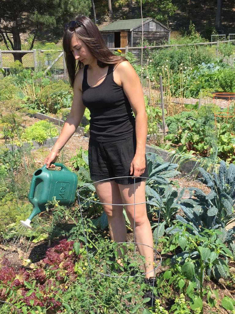 Kerry Hanney tends her plot at the Valley Street community garden in Portland. She donate crops to The Locker Project, which serves food-insecure kids.