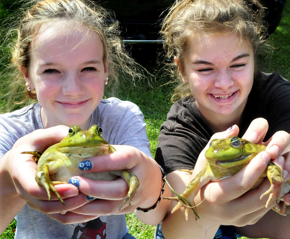 Frog-jumping contest entrepreneurs Kaitlyn Johndro, left, and Lindsey Obert were selling bullfrogs to kids Monday during the Oosoola Days event in Norridgewock.