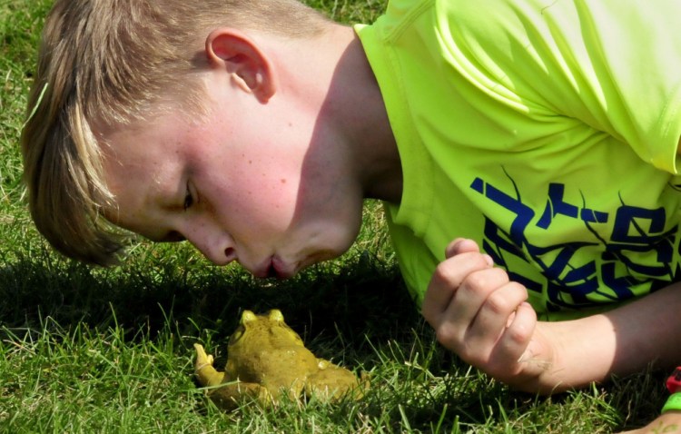 Dylan Morrissey blows on his bullfrog "Frogzilla" to get the reluctant amphibian to move toward the "finish" circle during the frog competition Monday at the Oosoola Days event in Norridgewock.