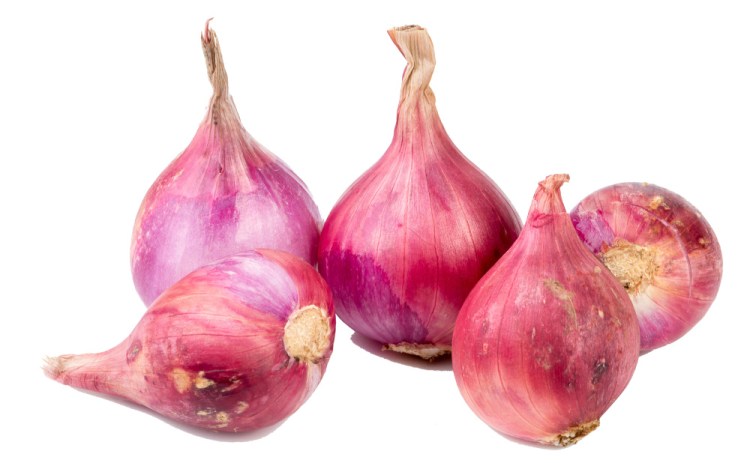 Shallots are ideally planted at first frost. Photo by Poomchai/Shutterstock.com