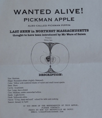 John Bunker's "wanted" poster for the elusive Pickman apple.