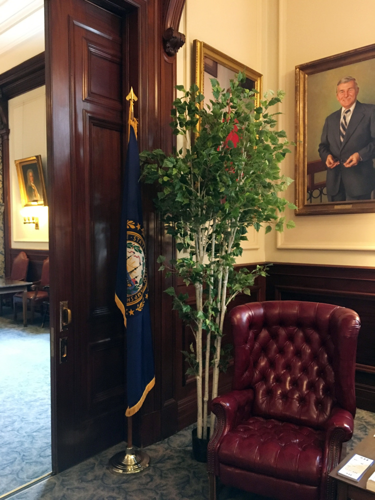 Photo provided by Judy Reardon shows a potted tree blocking Gov. Jeanne Shaheen's portrait outside the governor's office in Concord.