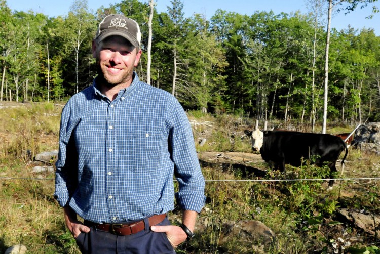 Jason Stutheit raises beef cattle at his Pond Hill farm in Brooks. Stutheit was still searching Wednesday for one of his rare Wagyu steers, which wandered off the Common Ground Country Fair site, where it and another steer were being exhibited.