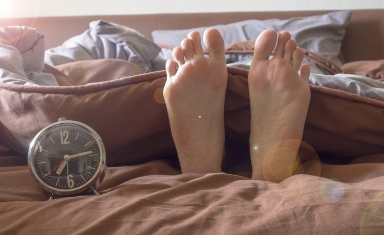 When a doctor suggests that you go to bed and wake up at the same time every day, thank Jeffrey C. Hall of Cambridge, Maine, and his fellow researchers for uncovering the workings of our "biological clock."