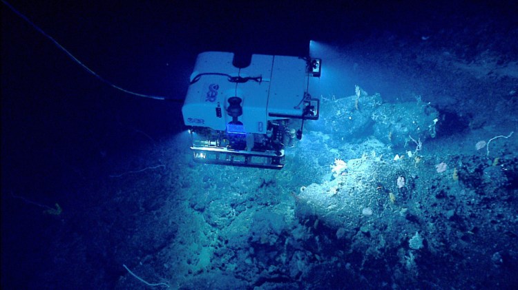 The National Oceanic and Atmospheric Administration's remotely operated vehicle Deep Discoverer investigates a deep-sea coral habitat on Retriever Seamount, part of the Northeast Canyons and Seamounts Marine National Monument, designated by President Barack Obama on Sept. 21, 2016. It's the only permanently protected reserve in federal Atlantic waters.
