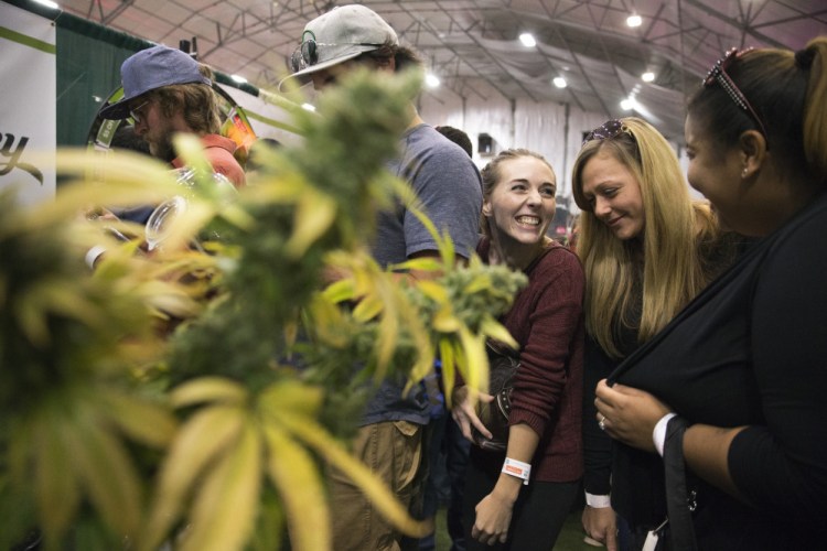Aubrey Graves, center, shares a laugh with friends Audrey Riddle and Adrian Allen while waiting in line to smell 10 different strains of marijuana at the Grass Monkey kiosk within the NECANN conference at Portland Sports Complex. With about 2,000 attendees,120 exhibitors and more than 100 speakers at Maine's largest cannabis convention. (Staff photo by Ben McCanna/Staff Photographer)