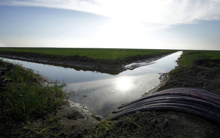 Water flows through an irrigation canal to crops near Lemoore, Calif. The U.S. Interior Department is not supporting the plan to build two 35-mile-long tunnels to divert part of the state's largest river, the Sacramento, to supply water to central and Southern California.