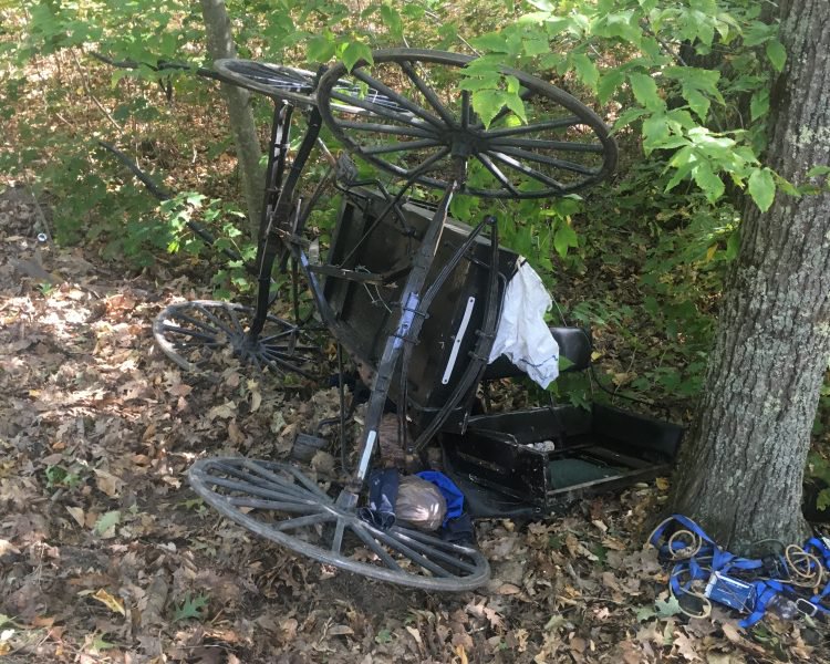 A sport utility vehicle hit an Amish buggy Oct. 4 in Whitefield, prompting town officials to discuss possible implementation of additional safety measures on town roads.