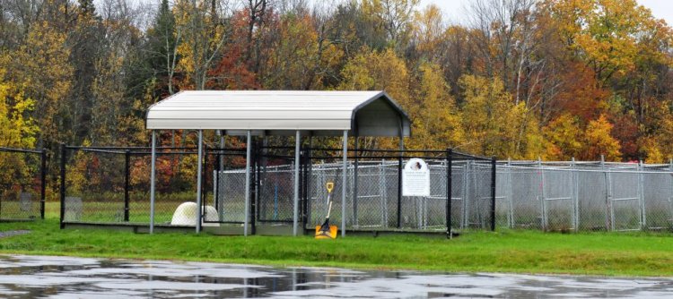 An area behind the Humane Society Waterville Area is where dogs frequently are walked and penned outdoors by owners and volunteers. Danielle Jones of Winslow, owner of two pit bull dogs that have been ordered to be euthanized, said the dogs escaped Tuesday while she was walking them.
