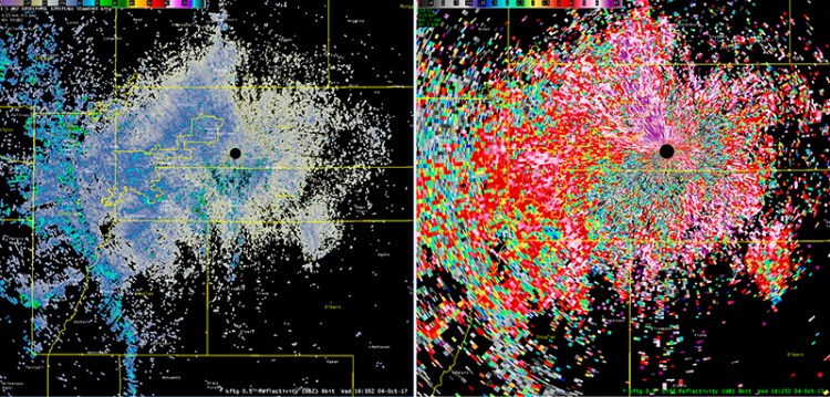 These National Weather Service radar images show a 70-mile-wide wave of butterflies drifting across the Denver metro area. Forecasters say the photos show two different types of radar images of the same movement of butterflies, and that the colors are the result of the way the radar detects the insects' shape and direction of travel, not the colors of the butterflies themselves.