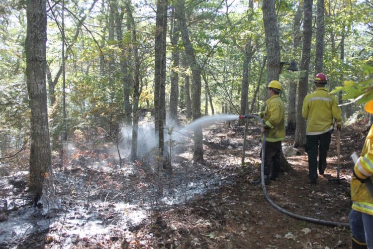 Fire fighters spray foam to contain a brush fire on an island in Hockomock Bay in Woolwich. 
