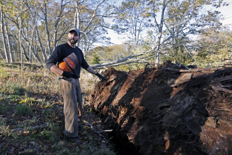 "This is not normal, for so many deciduous trees to rip up from the base," says Todd Robbins, who serves as Cape Elizabeth's tree warden and assistant property manager of Ram Island Farm.