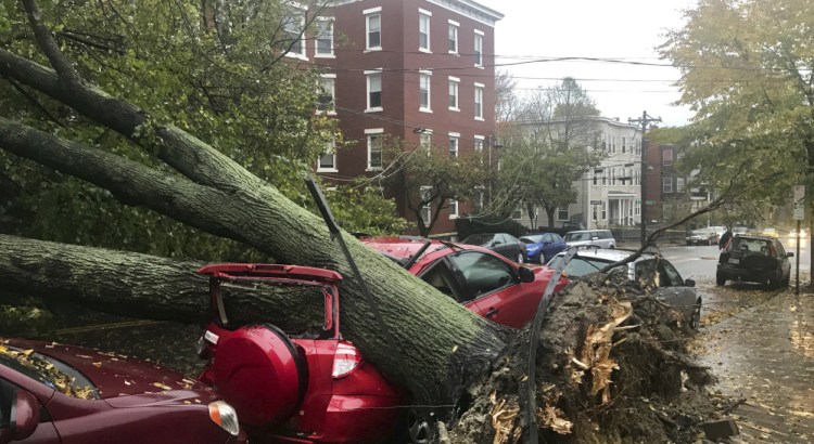Climate change increases the likelihood of severe weather, like the recent storm that toppled this and thousands of other trees, but Gov. LePage, who once said, "I do not believe in the Al Gore science," has consistently refused to admit that global warming is a threat to Maine.