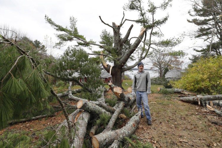 Will White surveys storm damage to his property Sunday on Wolfe's Neck Road in Freeport. The road has been without power since last Monday morning.