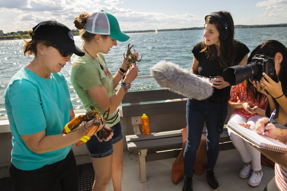 Maine Lobster Marketing Collaborative's Marianne LaCroix, left, and Rhoen Fiutak, a crew member aboard the fishing boat Lucky Catch, show the differences between male and female lobsters to journalists during a promotional tour for new-shell lobsters last summer in Portland. The collaborative has about six months to make its case for renewed funding; without it, the marketing group will cease to exist in October 2018.