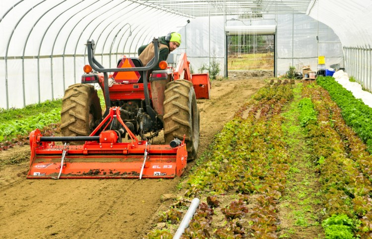 Kevin Leavitt looks back at a rototiller Thursday while preparing soil for planting in a greenhouse at Farmer Kev's Organic in West Gardiner. Beans and tomatoes had been in that space, and he'll plant lettuce, spinach and other greens there soon.