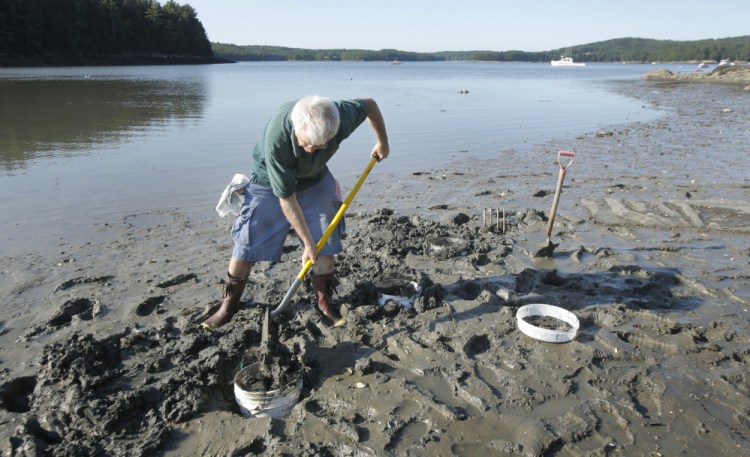 Maine has abdicated responsibility for monitoring and researching ocean acidification to volunteers like marine biologist Mick Devin, seen above in 2015, while Washington state, with a shellfish industry that has less than half of the value of Maine's, is spending $6 million to study it.