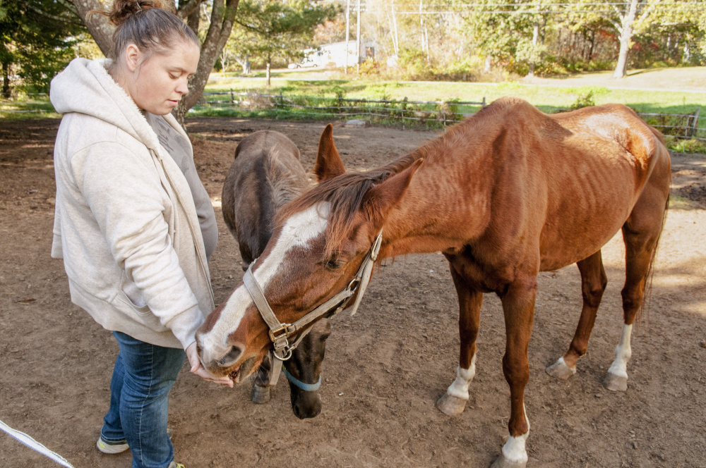 Kelsey Radley feeds an apple to her horse Zin on Oct. 13 in Pittston while Pocket the mule waits his turn.