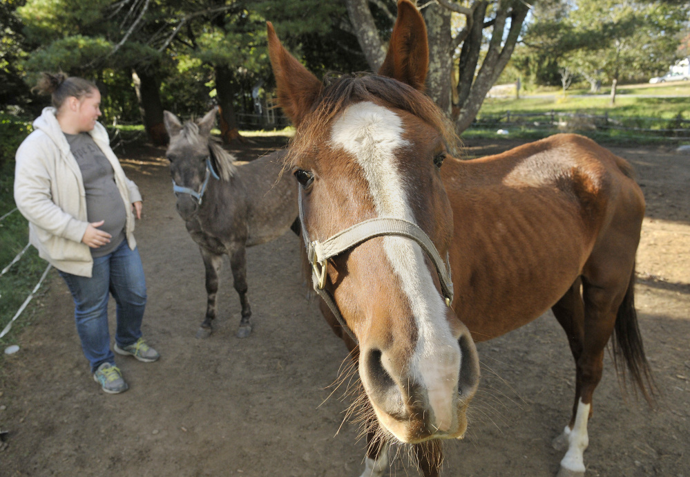 Kelsey Radley, the owner Zin the horse, right, and Pocket the mule, in October. A judge ruling to keep the horses in state custody said they had not been adequately cared for.