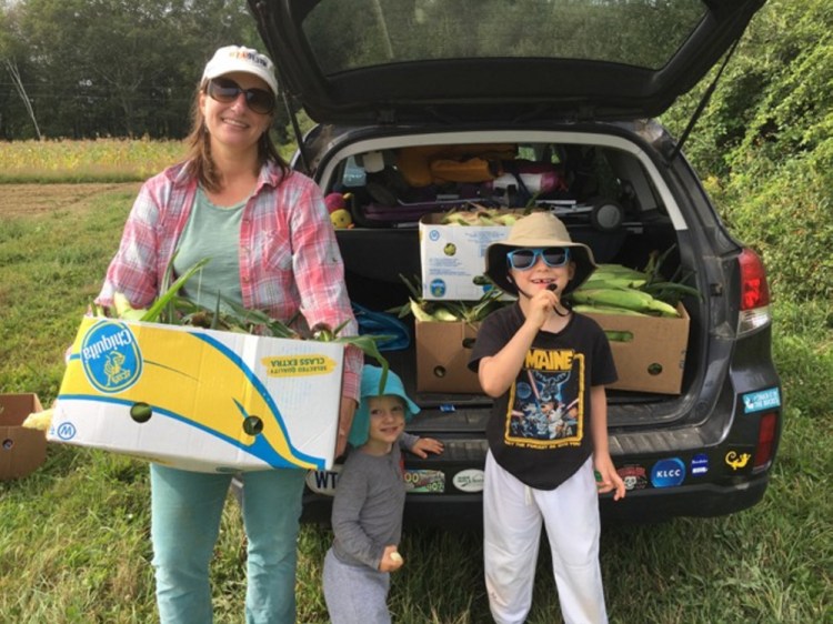 Laura McCandlish of Brunswick and her sons, Theo, 6, and Emmet, 2, glean corn at Fairwinds Farm in Bowdoinham. Year-round and statewide, everyday Mainers now rescue peak-season produce for their neighbors.