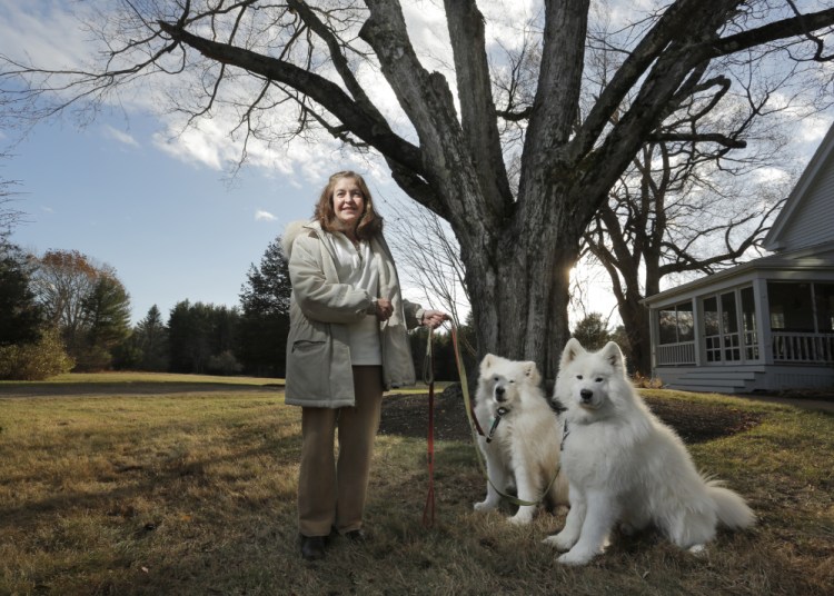 Joanne Fryer with her dogs Pippin and Puff at her home in Cumberland. Fryer is an attorney who also operates a flower farm on her property and has led an effort to get approval from the town to allow farms to host weddings and other functions.