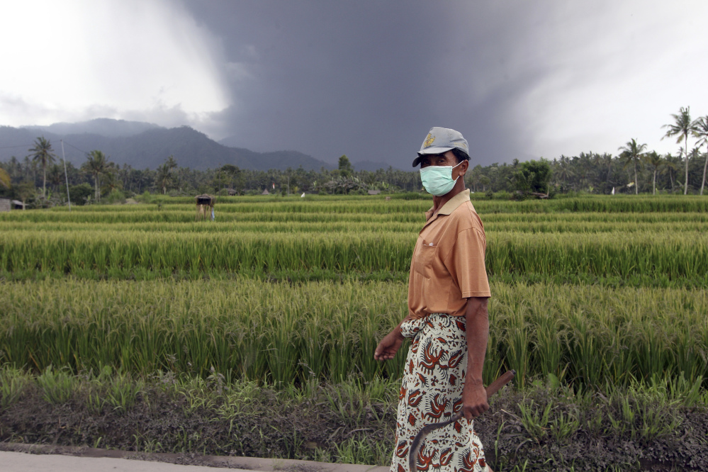 A villager walks near a rice field on the island of Bali, following the eruption of Mount Agung, covered with clouds in the background, in Karangasem, Indonesia, on Sunday. The volcano has rumbled into life with a series of eruptions.