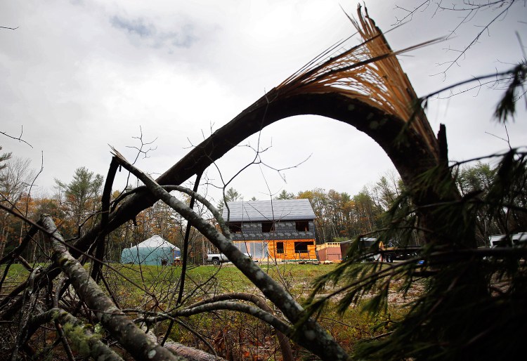 Broken trees frame Corey and Rachel Graham's home and yurt following a wind storm in Freeport on Oct. 30. The couple is living in the yurt while building a home. The storm toppled more than 20 pine trees on their lot but caused only minor damage to their property.