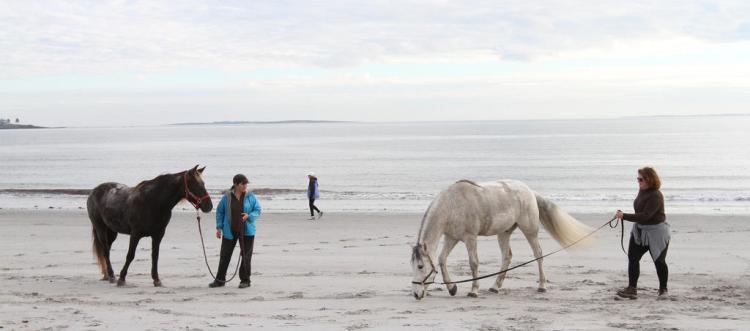 Owners walk their horses at Pine Point Beach in Scarborough after a ride to Old Orchard Beach. Scarborough has passed an ordinance amendment that now requires horses using the beach to wear manure containment systems.  