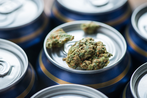 Some in the beer industry are moving from barley and hops to cannabis as the alcohol industry casts its sights on the burgeoning market for state-sanctioned marijuana.   Shutterstock photo