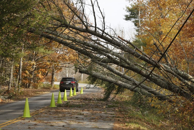 A vehicle travels under fallen trees along Flying Point Road in Freeport on Nov. 3. Central Maine Power officials say the utility was as ready as it could have been for the storm, which caused far more damage than expected.