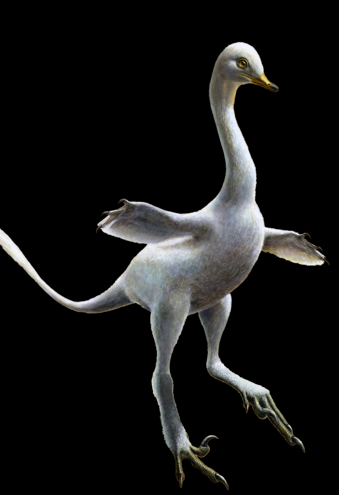 A Halszkaraptor escuilliei dinosaur, named after the late Polish paleontologist Halszka Osmolka.
