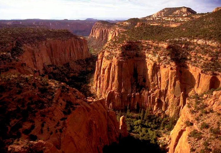 The Upper Gulch section of the Escalante Canyons within Utah's Grand Staircase-Escalante National Monument.
