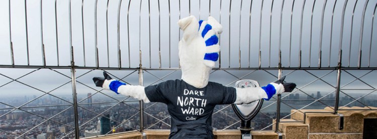 A Colby mule takes in the vista of New York from the observation deck of the Empire State Building recently as the college spreads the word of its capital campaign.