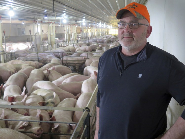 Southwest Minnesota hog producer Randy Spronk poses at his farm near Edgerton, Minn. Minnesota farmers like Spronk fear they could lose millions of dollars if the United States leaves the North American Free Trade Agreement.