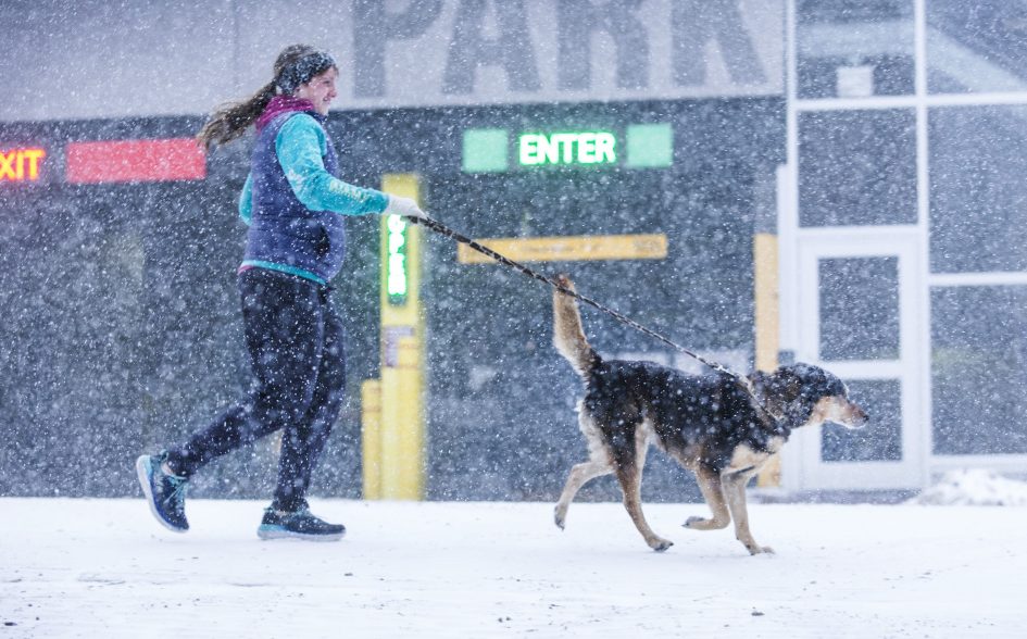 Erin Abraham runs with her dog, Kaylee, on Fore Street in Portland in near-whiteout conditions during the snowstorm on Thursday.
